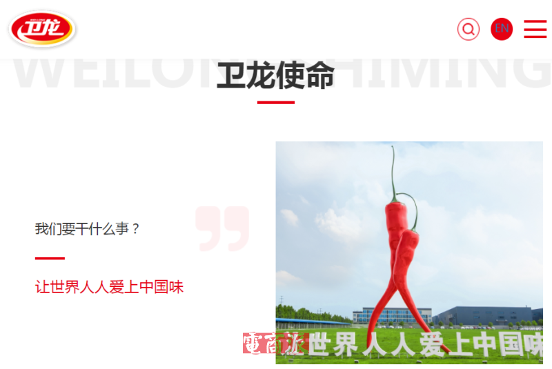 湖南两兄弟出海卖辣条，一年进账9000万