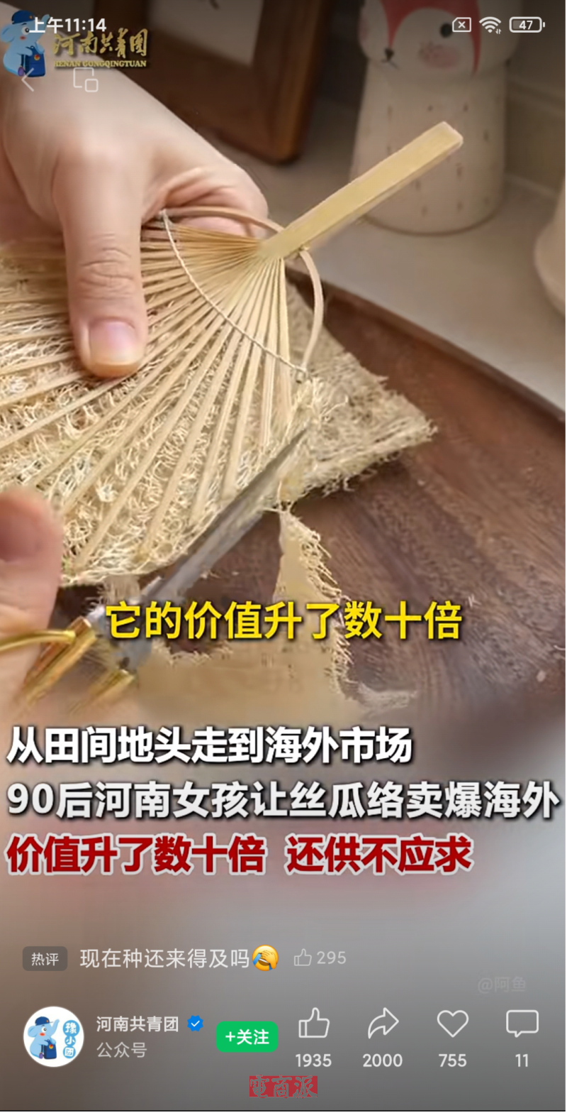 丝瓜络出海被疯抢，在亚马逊月销数千件，已有卖家赚翻