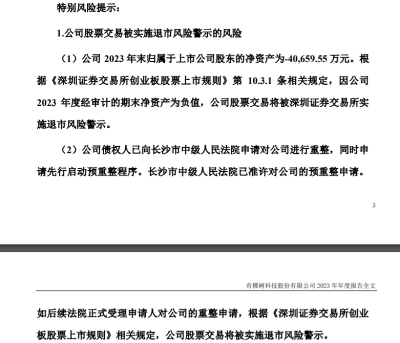 深圳跨境大卖有棵树，绝处逢生，扭亏为盈
