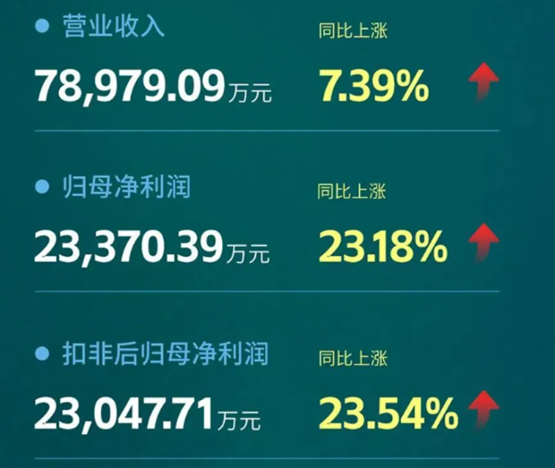 营收利润双双增长，焦点科技三季度狂揽超12亿营收