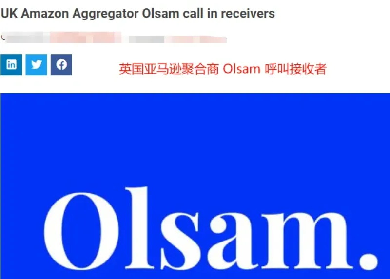 深陷财务危机，亚马逊大卖濒临破产