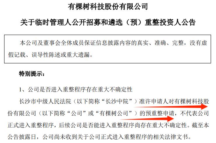 125万债务还不上，有棵树濒临破产