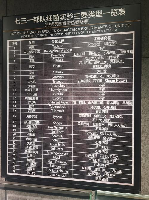 AMS是哪个机场的三字代码，AMS具体地址介绍