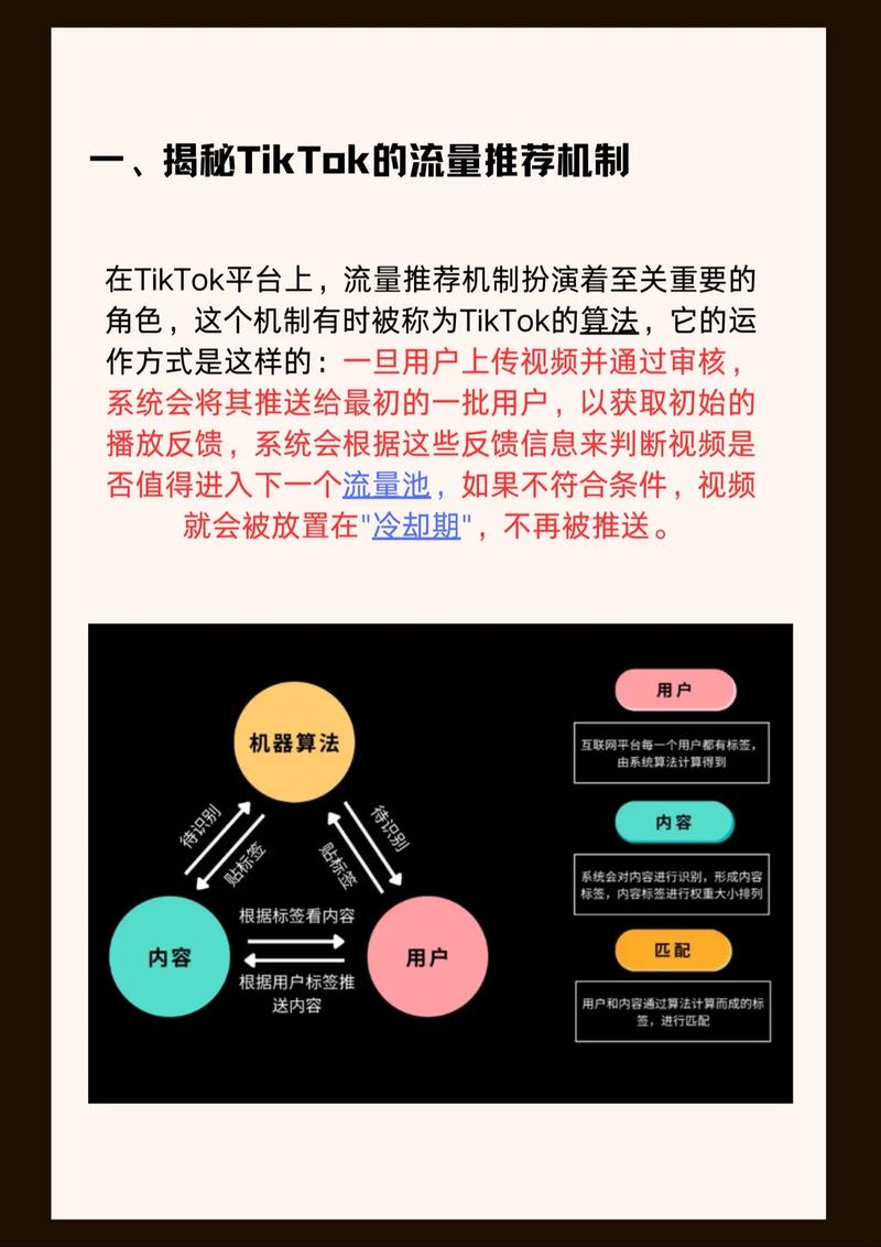 TikTok直播推流码有什么用？TikTok推流助手使用教程