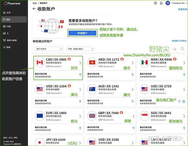 payoneer派安盈怎么提现？解析派安盈Payoneer账户申请所需条件
