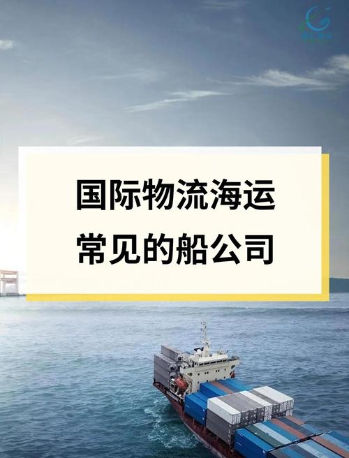 国际海运物流哪家比较好？国际海运公司排行榜