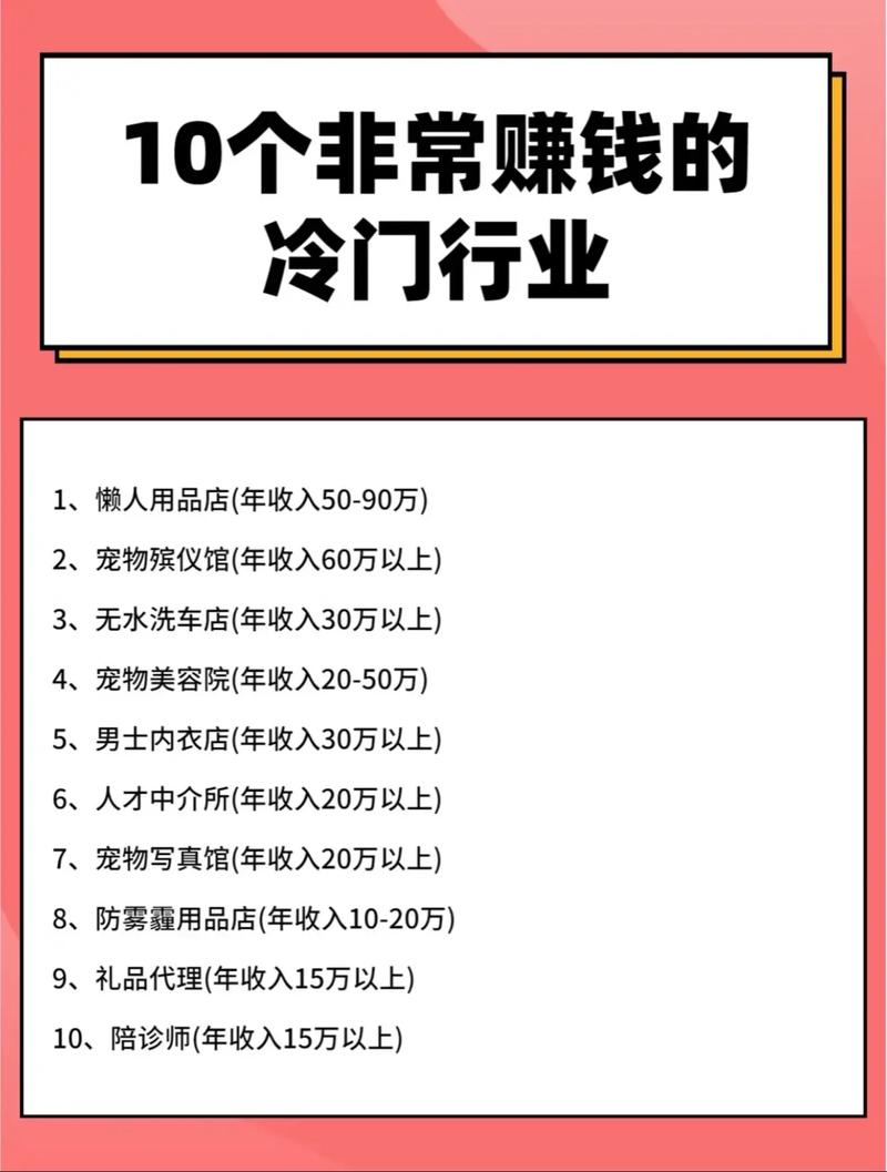 开店半年月销60万美金,卖家靠小众单品突围