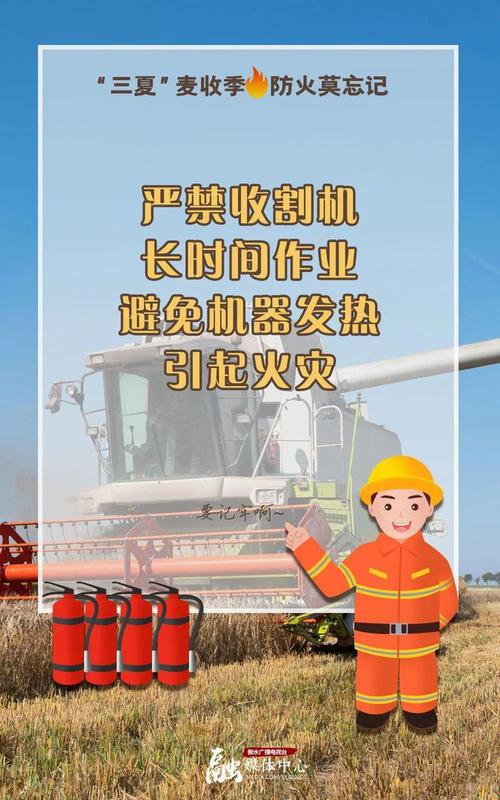 三夏进行时